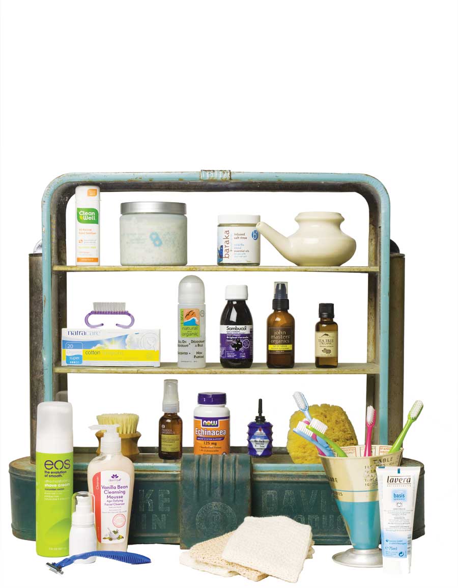 18 Essentials for Your Natural Medicine Mother Earth Living